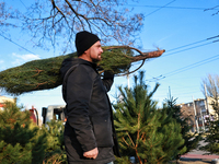 A man carries a Christmas tree in Odesa, Ukraine, on December 19, 2024. NO USE RUSSIA. NO USE BELARUS. (