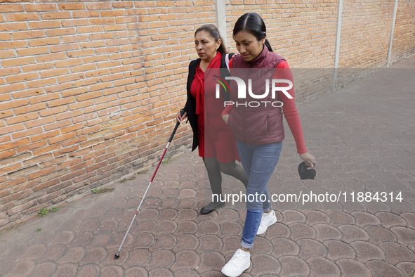 Blind people and volunteers meet at the Guide Dog Training School for the Blind (I.A.P) in Mexico City, Mexico, on December 20, 2024. The sc...