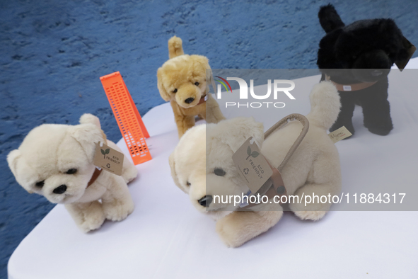 Selling stuffed guide dogs at the Guide Dogs for the Blind Training School I.A.P in Mexico City, Mexico. The school provides inclusive rehab...