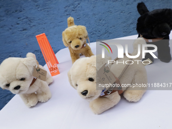 Selling stuffed guide dogs at the Guide Dogs for the Blind Training School I.A.P in Mexico City, Mexico. The school provides inclusive rehab...