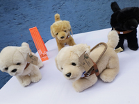 Selling stuffed guide dogs at the Guide Dogs for the Blind Training School I.A.P in Mexico City, Mexico. The school provides inclusive rehab...