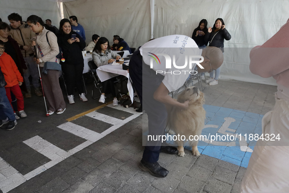 Kitty is a guide dog at the Guide Dogs for the Blind Training School I.A.P in Mexico City, Mexico. The school provides inclusive rehabilitat...