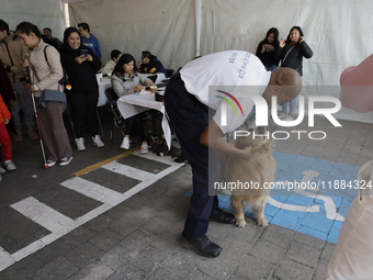 Kitty is a guide dog at the Guide Dogs for the Blind Training School I.A.P in Mexico City, Mexico. The school provides inclusive rehabilitat...