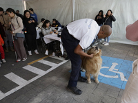 Kitty is a guide dog at the Guide Dogs for the Blind Training School I.A.P in Mexico City, Mexico. The school provides inclusive rehabilitat...