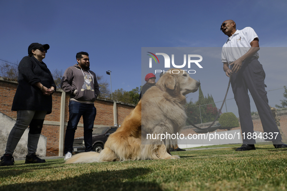 Kitty is a guide dog at the Guide Dogs for the Blind Training School I.A.P in Mexico City, Mexico. The school provides inclusive rehabilitat...