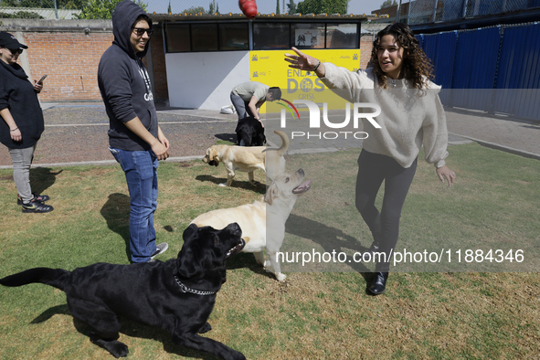 A group of blind people and volunteers meet at the Guide Dog Training School for the Blind (I.A.P) in Mexico City, Mexico, on December 20, 2...