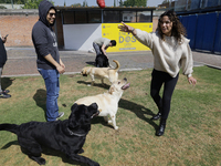 A group of blind people and volunteers meet at the Guide Dog Training School for the Blind (I.A.P) in Mexico City, Mexico, on December 20, 2...