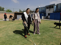 Blind women attend a meeting at the Guide Dogs for the Blind Training School I.A.P in Mexico City, Mexico. The school provides inclusive reh...