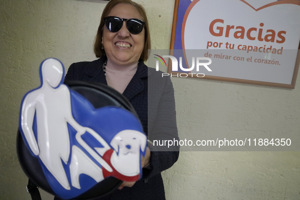 Silvia Lozada Badillo is the director and founder of the Guide Dogs for the Blind Training School I.A.P in Mexico City. The school provides...