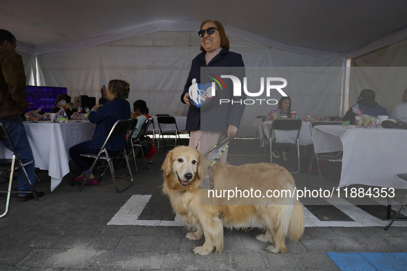 Silvia Lozada Badillo, director and founder of the Guide Dogs for the Blind Training School I.A.P in Mexico City, poses with her guide dog K...