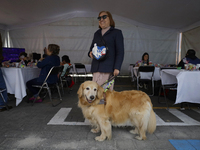 Silvia Lozada Badillo, director and founder of the Guide Dogs for the Blind Training School I.A.P in Mexico City, poses with her guide dog K...