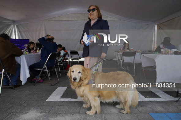 Silvia Lozada Badillo, director and founder of the Guide Dogs for the Blind Training School I.A.P in Mexico City, poses with her guide dog K...