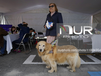 Silvia Lozada Badillo, director and founder of the Guide Dogs for the Blind Training School I.A.P in Mexico City, poses with her guide dog K...