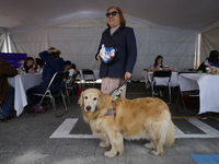 Silvia Lozada Badillo, director and founder of the Guide Dogs for the Blind Training School I.A.P in Mexico City, poses with her guide dog K...