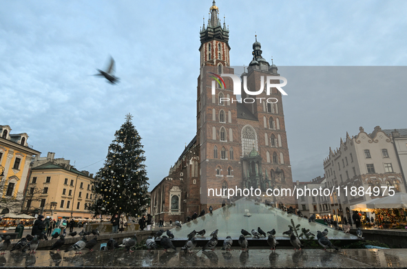 KRAKOW, POLAND - DECEMBER 20:   
A Christmas tree stands near St. Mary's Basilica in Krakow's UNESCO-listed Main Square on December 20, 2024...