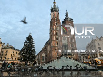 KRAKOW, POLAND - DECEMBER 20:   
A Christmas tree stands near St. Mary's Basilica in Krakow's UNESCO-listed Main Square on December 20, 2024...