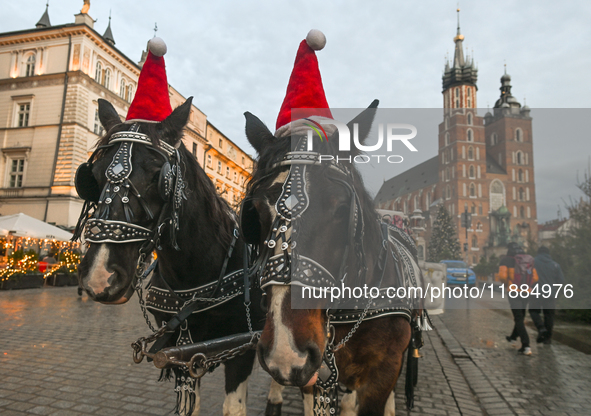 KRAKOW, POLAND - DECEMBER 20:   
Christmas hats adorn horses from horse-drawn carriages awaiting tourists at Krakow's Main Market Square, on...