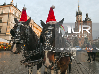 KRAKOW, POLAND - DECEMBER 20:   
Christmas hats adorn horses from horse-drawn carriages awaiting tourists at Krakow's Main Market Square, on...