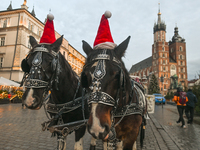 KRAKOW, POLAND - DECEMBER 20:   
Christmas hats adorn horses from horse-drawn carriages awaiting tourists at Krakow's Main Market Square, on...