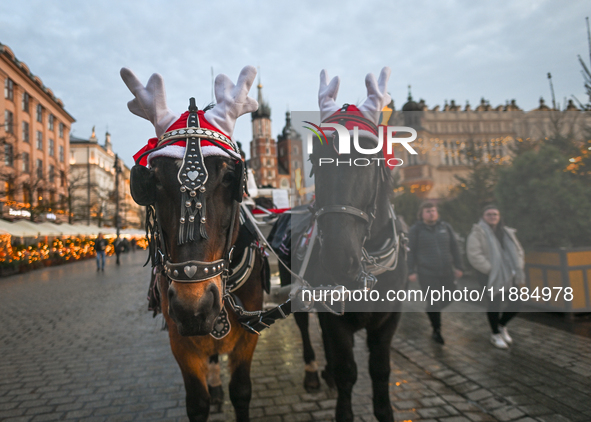 KRAKOW, POLAND - DECEMBER 20:   
Christmas decorations adorn horses from horse-drawn carriages awaiting tourists at Krakow's Main Market Squ...