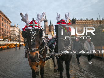 KRAKOW, POLAND - DECEMBER 20:   
Christmas decorations adorn horses from horse-drawn carriages awaiting tourists at Krakow's Main Market Squ...