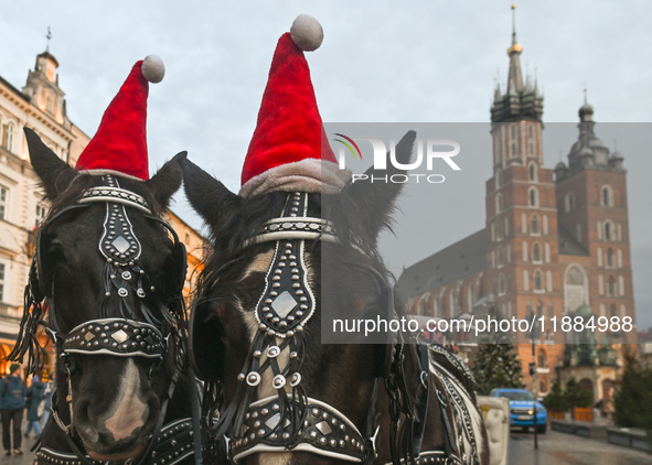 KRAKOW, POLAND - DECEMBER 20:   
Christmas hats adorn horses from horse-drawn carriages awaiting tourists at Krakow's Main Market Square, on...