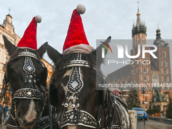 KRAKOW, POLAND - DECEMBER 20:   
Christmas hats adorn horses from horse-drawn carriages awaiting tourists at Krakow's Main Market Square, on...