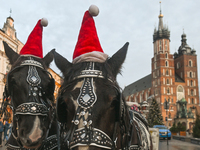 KRAKOW, POLAND - DECEMBER 20:   
Christmas hats adorn horses from horse-drawn carriages awaiting tourists at Krakow's Main Market Square, on...