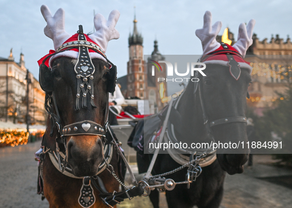 KRAKOW, POLAND - DECEMBER 20:   
Christmas decorations adorn horses from horse-drawn carriages awaiting tourists at Krakow's Main Market Squ...