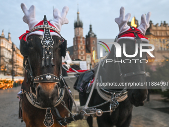 KRAKOW, POLAND - DECEMBER 20:   
Christmas decorations adorn horses from horse-drawn carriages awaiting tourists at Krakow's Main Market Squ...