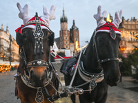 KRAKOW, POLAND - DECEMBER 20:   
Christmas decorations adorn horses from horse-drawn carriages awaiting tourists at Krakow's Main Market Squ...