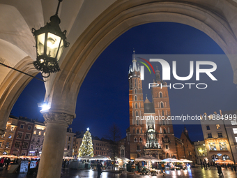 KRAKOW, POLAND - DECEMBER 20:   
An illuminated Christmas tree stands near St. Mary's Basilica in Krakow's UNESCO-listed Main Square, on Dec...