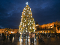 KRAKOW, POLAND - DECEMBER 20:   
An illuminated Christmas tree stands in Krakow's UNESCO-listed Main Square, on December 20, 2024 in Krakow,...