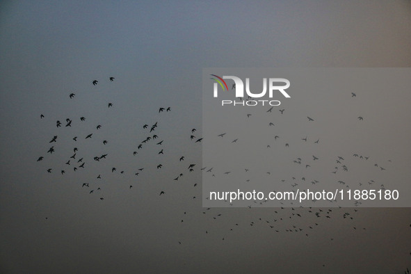 Birds fly over Dal Lake in Srinagar, Jammu and Kashmir, on December 21, 2024. The 40-day harsh winter period, locally referred to as 'Chilla...