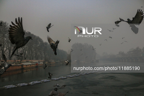 Birds fly over Dal Lake in Srinagar, Jammu and Kashmir, on December 21, 2024. The 40-day harsh winter period, locally referred to as 'Chilla...