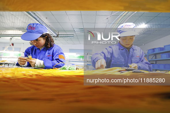 Workers produce photoelectric cables for export at a workshop of a company that produces communication equipment in the Sihong Economic Deve...