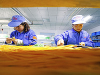 Workers produce photoelectric cables for export at a workshop of a company that produces communication equipment in the Sihong Economic Deve...