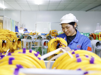 A worker produces photoelectric cables for export at a workshop of a communication equipment company in the Sihong Economic Development Zone...