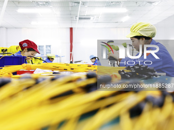 A worker produces photoelectric cables for export at a workshop of a communication equipment company in the Sihong Economic Development Zone...