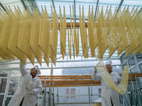 A worker places hanging noodles on a shelf to dry in Hefei, Anhui province, China, on December 21, 2024. (