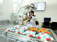 An employee operates an AI intelligent dyeing robot to produce intangible cultural heritage tie-dyeing products in a workshop in Hai'an, Jia...