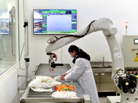 An employee operates an AI intelligent dyeing robot to produce intangible cultural heritage tie-dyeing products in a workshop in Hai'an, Jia...