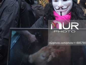 The group 'Anonymous for the Voiceless', an animal rights organization specializing in street activism, holds a 'Cubes of Truth' protest act...