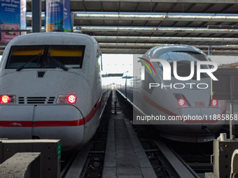 Two ICE trains are at Munich Central Station in Bavaria, Germany, on December 21, 2024. (