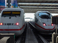 Two ICE trains are at Munich Central Station in Bavaria, Germany, on December 21, 2024. (