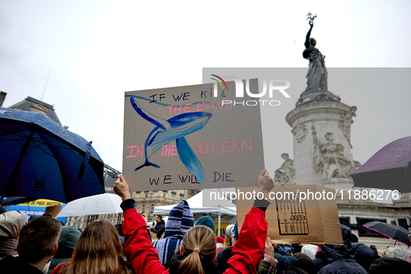 Supporters of anti-whaling activist Paul Watson staged a rally at Place de la Republique in Paris on December 21, 2024, a day after his arri...