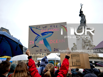 Supporters of anti-whaling activist Paul Watson staged a rally at Place de la Republique in Paris on December 21, 2024, a day after his arri...