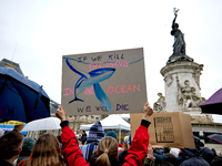 Supporters of anti-whaling activist Paul Watson staged a rally at Place de la Republique in Paris on December 21, 2024, a day after his arri...