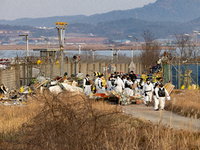 Fire authorities search for the missing and recover the deceased at the site of an accident near Muan International Airport in Jeollanam-do,...