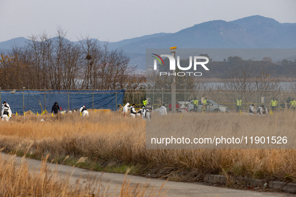 Fire authorities search for the missing and recover the deceased at the site of an accident near Muan International Airport in Jeollanam-do,...